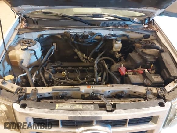 ✅ 2010 Ford Escape XLT • VIN: 1FMCU0D72AKD21628 • Lot: 43529971. Listed on IAAI with 191,450 mi. Free auction sales archive from the USA and detailed vehicle history report at DreamBid. Image 10.