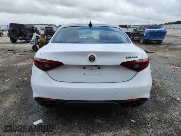 ✅ 2019 Alfa Romeo Giulia Sport • VIN: ZARFAMAN3K7622858 • Lot: 85937735. Listed on Copart with 53,150 mi. Free auction sales archive from the USA and detailed vehicle history report at DreamBid. Image 6.
