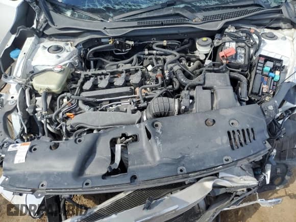 ✅ 2021 Honda Civic EX • VIN: 19XFC1F30ME011411 • Lot: 85255305. Listed on Copart with Not provided. Free auction sales archive from the USA and detailed vehicle history report at DreamBid. Image 11.