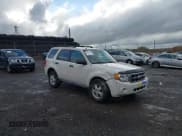 ✅ 2009 Ford Escape XLT • VIN: 1FMCU93G39KB94308 • Lot: 43579257. Listed on IAAI with 49,142 mi. Free auction sales archive from the USA and detailed vehicle history report at DreamBid. Image 1.