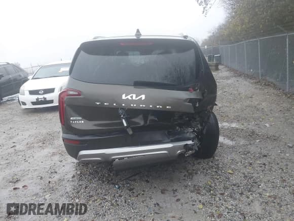 ✅ 2022 Kia Telluride EX • VIN: 5XYP3DHCXNG230576 • Lot: 43750336. Wystawiony na IAAI z przebiegiem 62 343 mil. Bezpłatny archiwum sprzedaży aukcyjnych z USA i szczegółowy raport historii pojazdu na DreamBid. Zdjęcie 16.