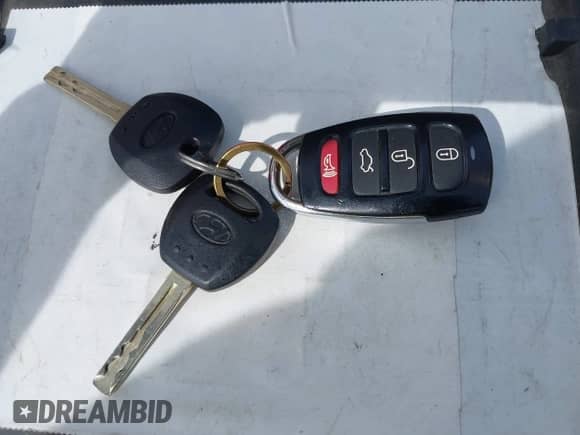 2007 Hyundai Azera SE с VIN KMHFC46F57A141280, выставлен на аукционе IAAI как лот 42214462 с пробегом 105 476 миль миль и . История ставок и продаж доступна на DreamBid. Изображение 11.