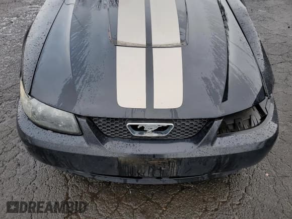 ✅ 2004 Ford Mustang Deluxe • VIN: 1FAFP44454F122839 • Lot: 45576585. Listed on Copart with 154,049 mi. Free auction sales archive from the USA and detailed vehicle history report at DreamBid. Image 12.