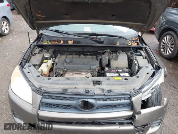 ✅ 2011 Toyota RAV4 • VIN: 2T3BF4DV3BW117929 • Лот: 43569347. Опубликован ранее на IAAI с пробегом 146 090 миль. Бесплатный доступ к архиву аукционных продаж из США и подробный отчёт об истории автомобиля на DreamBid. Изображение 10.
