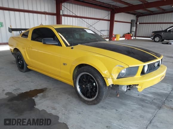 ✅ 2006 Ford Mustang GT Deluxe • VIN: 1ZVHT82H465140329 • Лот: 43529291. Опубликован ранее на IAAI с пробегом 217 608 миль. Бесплатный доступ к архиву аукционных продаж из США и подробный отчёт об истории автомобиля на DreamBid. Изображение 1.