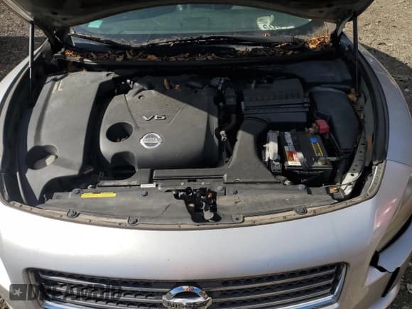 ✅ 2009 Nissan Maxima SV • VIN: 1N4AA51EX9C844976 • Lot: 89519025. Wystawiony na Copart z przebiegiem 156 291 mil. Bezpłatny archiwum sprzedaży aukcyjnych z USA i szczegółowy raport historii pojazdu na DreamBid. Zdjęcie 11.