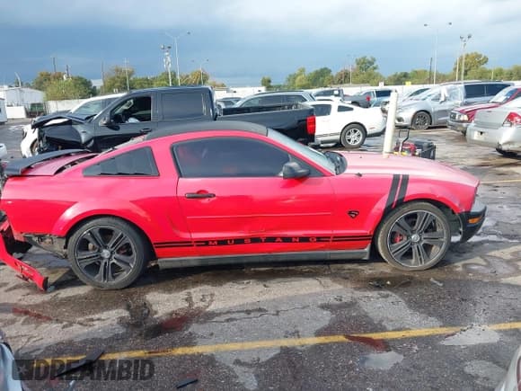 ✅ 2007 Ford Mustang Deluxe • VIN: 1ZVFT80NX75211955 • Lot: 43566547. Listed on IAAI with 211,628 mi. Free auction sales archive from the USA and detailed vehicle history report at DreamBid. Image 13.