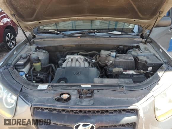 2009 Hyundai Santa Fe GLS with VIN 5NMSG13DX9H232935, listed as a Copart auction lot 65953874 with 280,340 mi miles and Clean title. Bid and sale history available at DreamBid. Image 11.