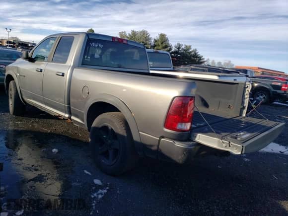 2009 Dodge 1500 SLT с VIN 1D3HV18T49S815982, выставлен на аукционе Copart как лот 82655194 с пробегом 220 176 миль миль и Чистый • Clean title. История ставок и продаж доступна на DreamBid. Изображение 2.