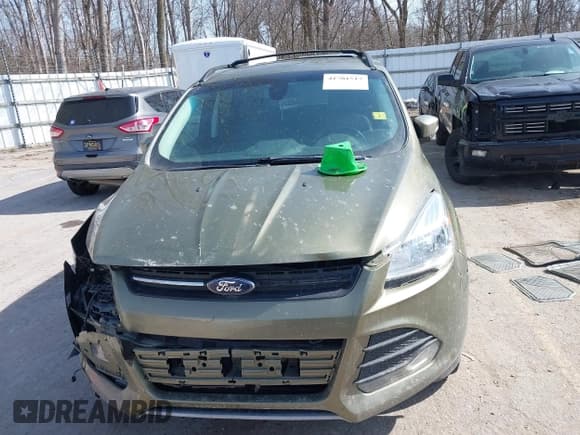 ✅ 2013 Ford Escape SEL • VIN: 1FMCU9HX4DUC34174 • Lot: 41781517. Listed on IAAI with Not provided. Free auction sales archive from the USA and detailed vehicle history report at DreamBid. Image 12.