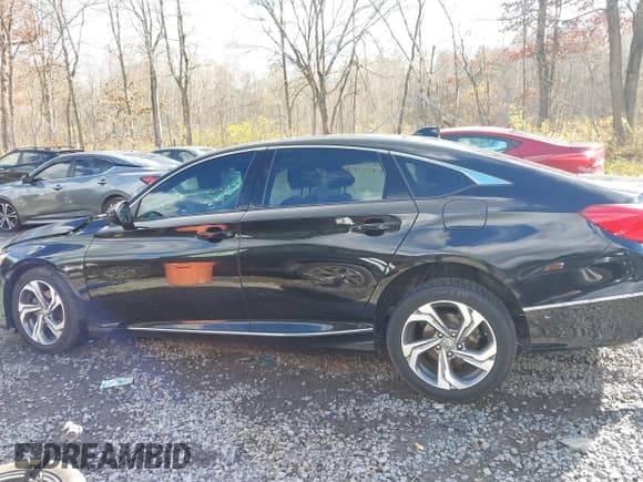 ✅ 2019 Honda Accord EX • VIN: 1HGCV1F4XKA144927 • Lot: 43632225. Listed on IAAI with 97,289 mi. Free auction sales archive from the USA and detailed vehicle history report at DreamBid. Image 13.