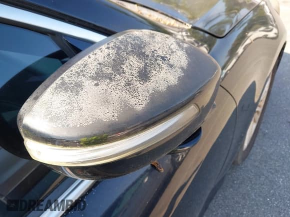 ✅ 2013 Hyundai Genesis 3.8L • VIN: KMHGC4DD1DU238153 • Lot: 43135011. Listed on IAAI with 184,318 mi. Free auction sales archive from the USA and detailed vehicle history report at DreamBid. Image 19.