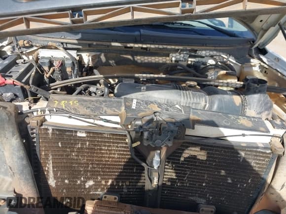 ✅ 2008 Ford F-150 XL • VIN: 1FTRF14W38KD70224 • Lot: 41849747. Wystawiony na IAAI z przebiegiem 171 970 mil. Bezpłatny archiwum sprzedaży aukcyjnych z USA i szczegółowy raport historii pojazdu na DreamBid. Zdjęcie 10.