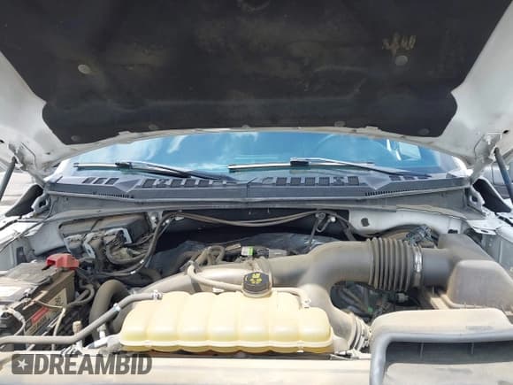 ✅ 2019 Ford F-150 XL • VIN: 1FTEW1CP3KKE50221 • Лот: 42804376. Опубликован ранее на IAAI с пробегом 122 763 миль. Бесплатный доступ к архиву аукционных продаж из США и подробный отчёт об истории автомобиля на DreamBid. Изображение 10.