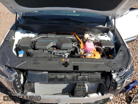 ✅ 2023 Hyundai Santa Fe Limited • VIN: 5NMS5DA14PH023106 • Lot: 49198534. Wystawiony na Copart z przebiegiem 620 mil. Bezpłatny archiwum sprzedaży aukcyjnych z USA i szczegółowy raport historii pojazdu na DreamBid. Zdjęcie 12.