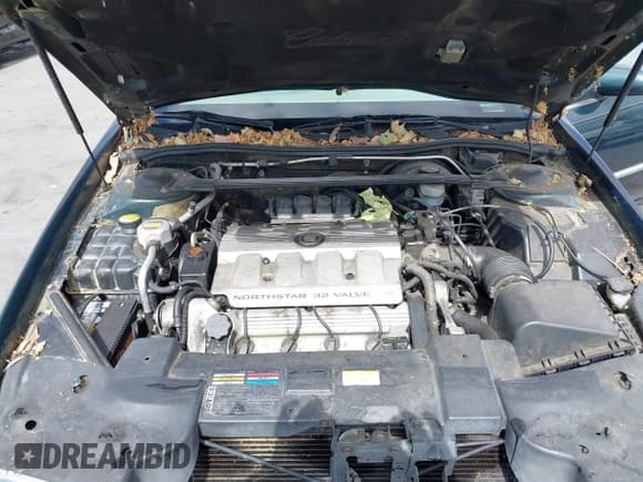 ✅ 1998 Cadillac Eldorado Touring • VIN: 1G6ET1299WU613236 • Lot: 43173727. Listed on IAAI with 165,556 mi. Free auction sales archive from the USA and detailed vehicle history report at DreamBid. Image 10.