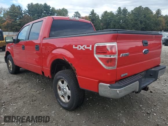 ✅ 2010 Ford F-150 XL • VIN: 1FTEW1E86AFA49744 • Lot: 85576865. Listed on Copart with 219,593 mi. Free auction sales archive from the USA and detailed vehicle history report at DreamBid. Image 2.