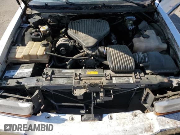 ✅ 1995 Buick Roadmaster • VIN: 1G4BT52PXSR409379 • Lot: 53788665. Wystawiony na Copart z przebiegiem 331 932 mil. Bezpłatny archiwum sprzedaży aukcyjnych z USA i szczegółowy raport historii pojazdu na DreamBid. Zdjęcie 11.