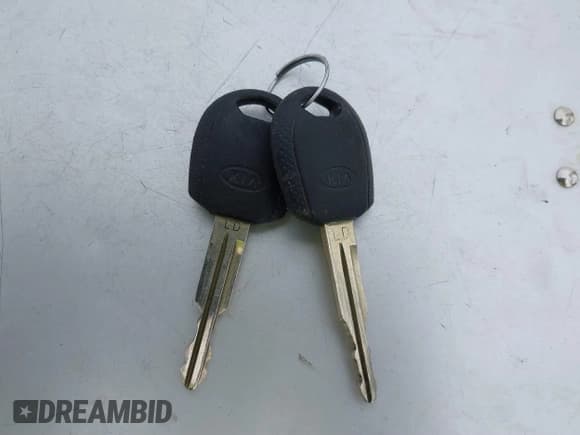 ✅ 2006 Kia Sportage LX • VIN: KNDJF724X67294549 • Lot: 41654020. Listed on IAAI with 158,691 mi. Free auction sales archive from the USA and detailed vehicle history report at DreamBid. Image 11.