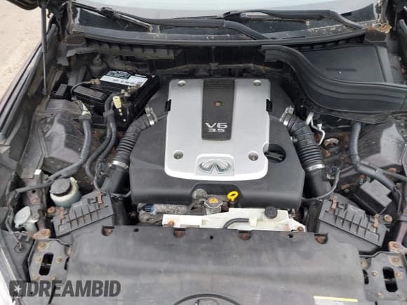 ✅ 2011 Infiniti EX Journey • VIN: JN1AJ0HR9BM854438 • Lot: 43745541. Wystawiony na IAAI z przebiegiem Nie podano. Bezpłatny archiwum sprzedaży aukcyjnych z USA i szczegółowy raport historii pojazdu na DreamBid. Zdjęcie 10.