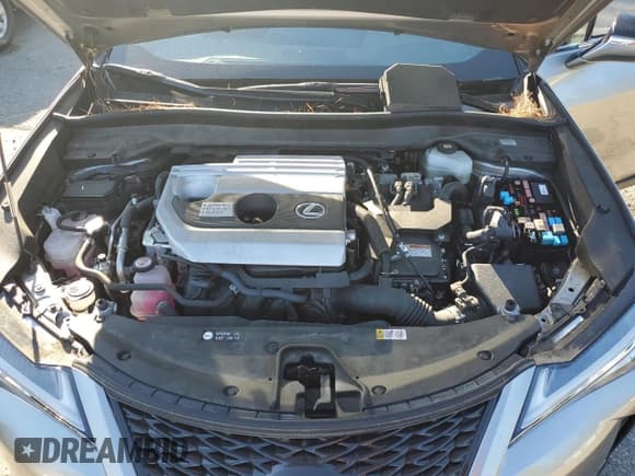 ✅ 2021 Lexus UX 250h F Sport • VIN: JTHR9JBH6M2053395 • Lot: 80566715. Listed on Copart with 31,980 mi. Free auction sales archive from the USA and detailed vehicle history report at DreamBid. Image 12.