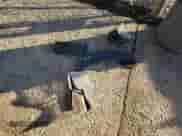 2020 Hyundai Kona SEL с VIN KM8K2CAA9LU419775, выставлен на аукционе Copart как лот 70791932 с пробегом 41 334 миль миль и . История ставок и продаж доступна на DreamBid. Изображение 12.