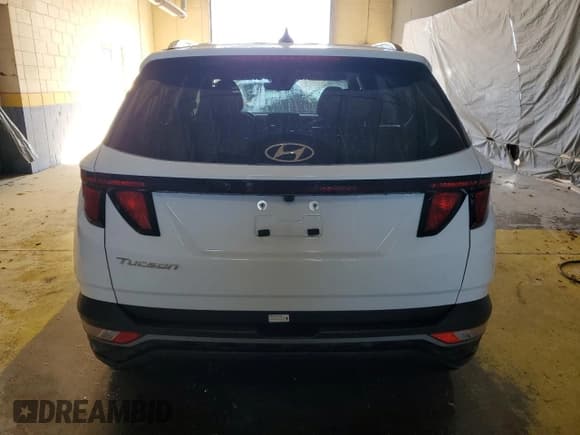 ✅ 2024 Hyundai Tucson SEL • VIN: 5NMJB3DE8RH385942 • Lot: 92391385. Listed on Copart with 50,425 mi. Free auction sales archive from the USA and detailed vehicle history report at DreamBid. Image 6.