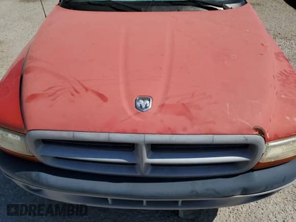 1999 Dodge Dakota SLT с VIN 1B7FL26X0XS114581, выставлен на аукционе Copart как лот 54607174 с пробегом Не указан миль и Чистый • Clean title. История ставок и продаж доступна на DreamBid. Изображение 11.