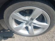 ✅ 2014 Audi A5 Premium Plus • VIN: WAULFAFR3EA016716 • Лот: 42688424. Опубликован ранее на IAAI с пробегом 76 591 миль. Бесплатный доступ к архиву аукционных продаж из США и подробный отчёт об истории автомобиля на DreamBid. Изображение 12.