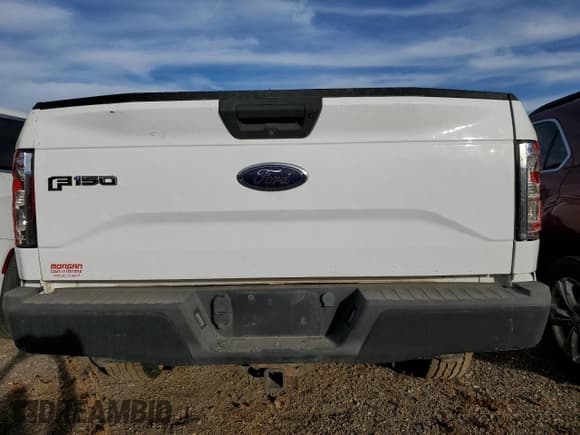 ✅ 2017 Ford F-150 XL • VIN: 1FTMF1EFXHKC44094 • Lot: 75478974. Listed on Copart with 137,420 mi. Free auction sales archive from the USA and detailed vehicle history report at DreamBid. Image 6.