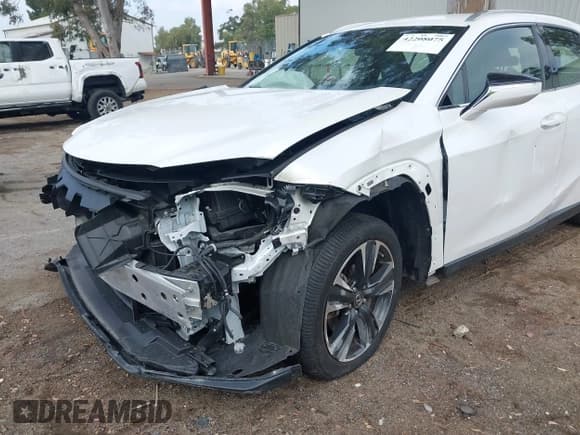 ✅ 2021 Lexus UX 200 • VIN: JTHX3JBHXM2037760 • Lot: 42208075. Wystawiony na IAAI z przebiegiem 30 427 mil. Bezpłatny archiwum sprzedaży aukcyjnych z USA i szczegółowy raport historii pojazdu na DreamBid. Zdjęcie 6.