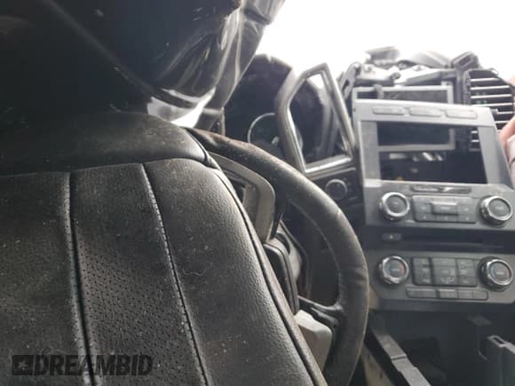 ✅ 2017 Ford F-350 Platinum • VIN: 1FT8W3BT7HEC54863 • Lot: 51062015. Listed on Copart with Not provided. Free auction sales archive from the USA and detailed vehicle history report at DreamBid. Image 9.