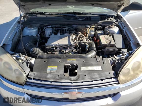 2005 Chevrolet Malibu LS with VIN 1G1ZT54845F131344, listed as a Copart auction lot 77036744 with 293,645 mi miles and Salvage title. Bid and sale history available at DreamBid. Image 11.