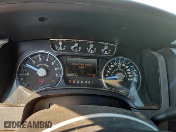 ✅ 2012 Ford F-150 XL • VIN: 1FTPF1EFXCKD38109 • Lot: 71618565. Listed on Copart with 225,068 mi. Free auction sales archive from the USA and detailed vehicle history report at DreamBid. Image 9.