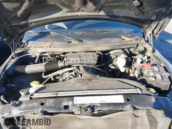 ✅ 1998 Dodge 1500 • VIN: 1B7HC13Y4WJ234775 • Lot: 43584201. Wystawiony na IAAI z przebiegiem 128 542 mil. Bezpłatny archiwum sprzedaży aukcyjnych z USA i szczegółowy raport historii pojazdu na DreamBid. Zdjęcie 10.