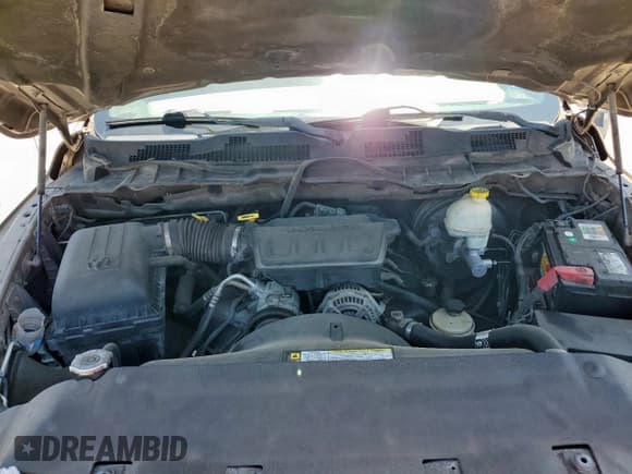 ✅ 2009 Dodge 1500 SLT • VIN: 1D3HB18P89S732311 • Lot: 56957255. Wystawiony na Copart z przebiegiem 313 847 mil. Bezpłatny archiwum sprzedaży aukcyjnych z USA i szczegółowy raport historii pojazdu na DreamBid. Zdjęcie 11.