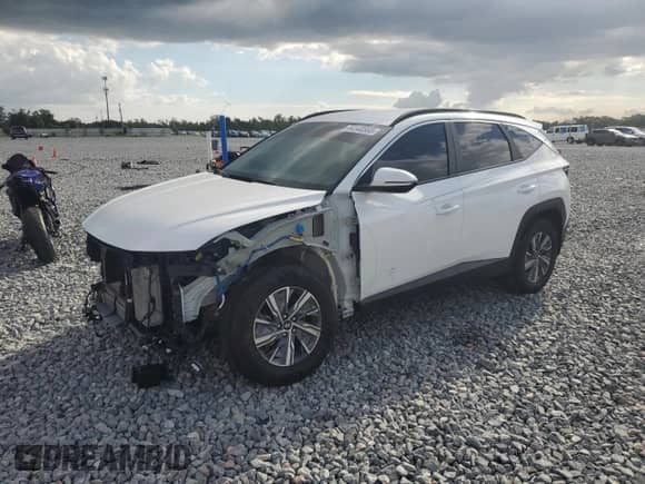 2023 Hyundai Tucson Blue z VIN KM8JBCA15PU087545, wystawiony jako Copart lot #84540595 z przebiegiem 75 023 mil mil oraz Szkoda całkowita • Salvage title. Historia ofert i sprzedaży dostępna na DreamBid. Obrazek 1.