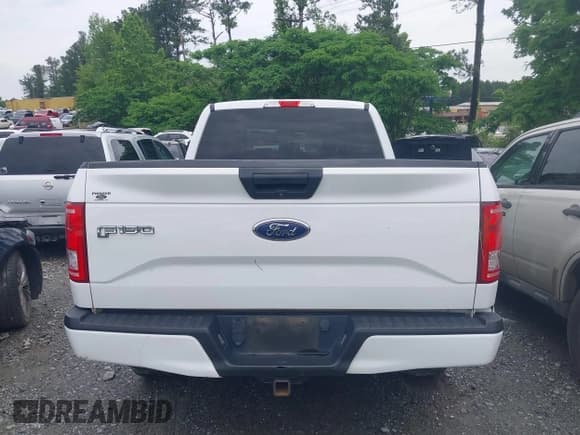 ✅ 2017 Ford F-150 XL • VIN: 1FTEX1CF3HFB48515 • Lot: 42253407. Listed on IAAI with 136,847 mi. Free auction sales archive from the USA and detailed vehicle history report at DreamBid. Image 16.