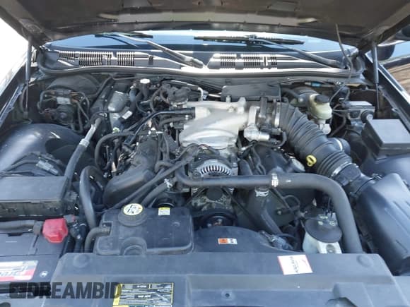 ✅ 2003 Mercury Marauder • VIN: 2MEHM75V33X628952 • Lot: 41534323. Wystawiony na IAAI z przebiegiem 92 228 mil. Bezpłatny archiwum sprzedaży aukcyjnych z USA i szczegółowy raport historii pojazdu na DreamBid. Zdjęcie 10.