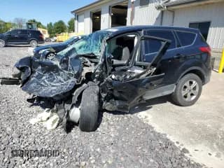 ✅ 2014 Ford Escape SE • VIN: 1FMCU9GX4EUD94185 • Лот: 81758625. Опубликован ранее на Copart с пробегом Не указан. Бесплатный доступ к архиву аукционных продаж из США и подробный отчёт об истории автомобиля на DreamBid. Изображение 1.