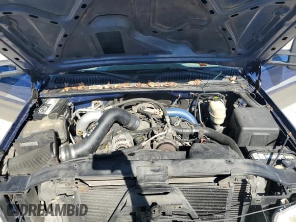 ✅ 2003 GMC Sierra 3500 SLT • VIN: 1GTJC33113F121042 • Lot: 73668454. Wystawiony na Copart z przebiegiem 246 510 mil. Bezpłatny archiwum sprzedaży aukcyjnych z USA i szczegółowy raport historii pojazdu na DreamBid. Zdjęcie 12.