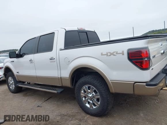 ✅ 2011 Ford F-150 Harley-Davidson • VIN: 1FTFW1E61BFA56394 • Lot: 43387512. Wystawiony na IAAI z przebiegiem 166 812 mil. Bezpłatny archiwum sprzedaży aukcyjnych z USA i szczegółowy raport historii pojazdu na DreamBid. Zdjęcie 14.