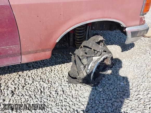 ✅ 1988 Ford F-150 • VIN: 1FTEF14N8JNB51379 • Лот: 41648852. Опубликован ранее на IAAI с пробегом 665 957 миль. Бесплатный доступ к архиву аукционных продаж из США и подробный отчёт об истории автомобиля на DreamBid. Изображение 6.