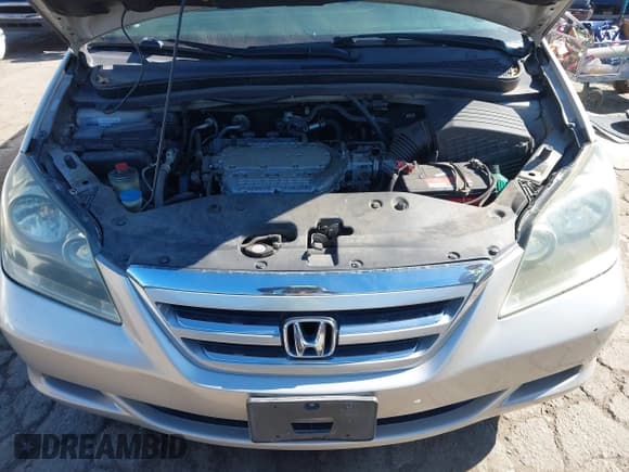 ✅ 2006 Honda Odyssey EX-L • VIN: 5FNRL38736B050483 • Lot: 43023144. Wystawiony na IAAI z przebiegiem 177 987 mil. Bezpłatny archiwum sprzedaży aukcyjnych z USA i szczegółowy raport historii pojazdu na DreamBid. Zdjęcie 10.