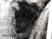 2013 Hyundai Sonata SE with VIN 5NPEC4ABXDH796138, listed as a Copart auction lot 85908115 with Not provided miles and Salvage title. Bid and sale history available at DreamBid. Image 9.