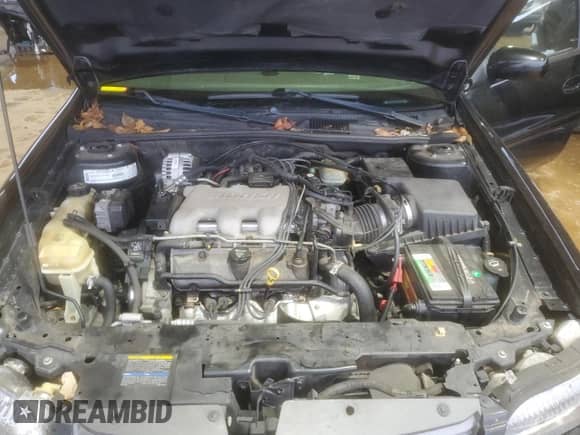 2003 Chevrolet Malibu LS with VIN 1G1NE52J93M566285, listed as a Copart auction lot 86095424 with 176,209 mi miles and Salvage title. Bid and sale history available at DreamBid. Image 13.