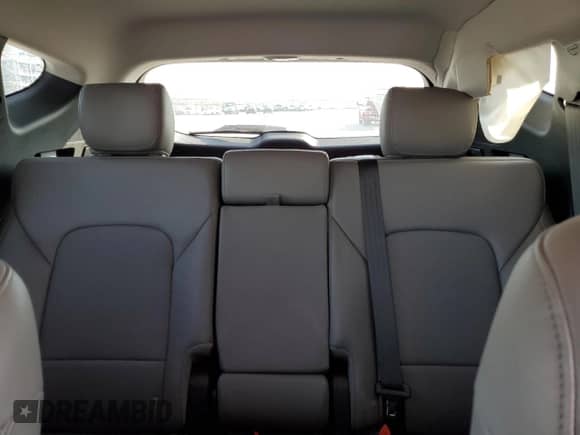 ✅ 2017 Hyundai Santa Fe 2.4L • VIN: 5NMZU3LB7HH008604 • Lot: 50117123. Wystawiony na Copart z przebiegiem 52 220 mil. Bezpłatny archiwum sprzedaży aukcyjnych z USA i szczegółowy raport historii pojazdu na DreamBid. Zdjęcie 10.