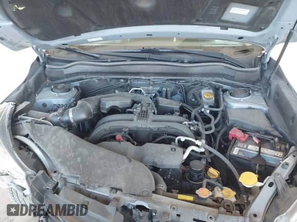 2017 Subaru Forester Limited with VIN JF2SJAJC9HH541129, listed as a IAAI auction lot 43401928 with 91,345 mi miles and . Bid and sale history available at DreamBid. Image 10.