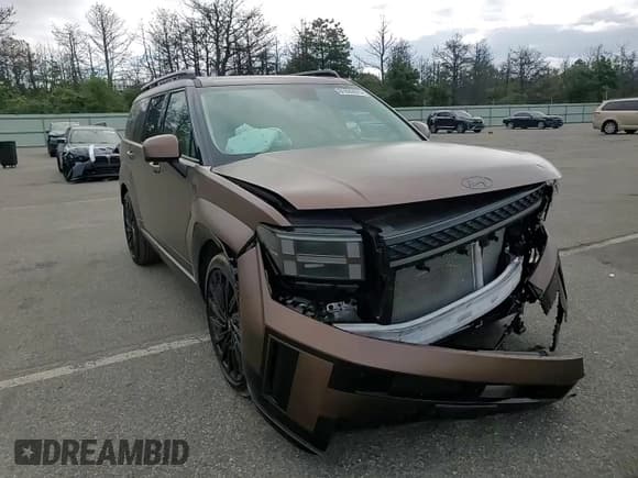 ✅ 2024 Hyundai Santa Fe Calligraphy • VIN: 5NMP5DGL1RH054489 • Lot: 81032475. Listed on Copart with 8,863 mi. Free auction sales archive from the USA and detailed vehicle history report at DreamBid. Image 14.