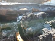 ✅ 2006 Chevrolet Aveo LS • VIN: KL1TD66666B565826 • Lot: 77326304. Wystawiony na Copart z przebiegiem Nie podano. Bezpłatny archiwum sprzedaży aukcyjnych z USA i szczegółowy raport historii pojazdu na DreamBid. Zdjęcie 9.